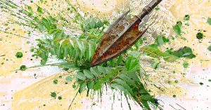 Hoćemo li da zadržimo naše voćke?